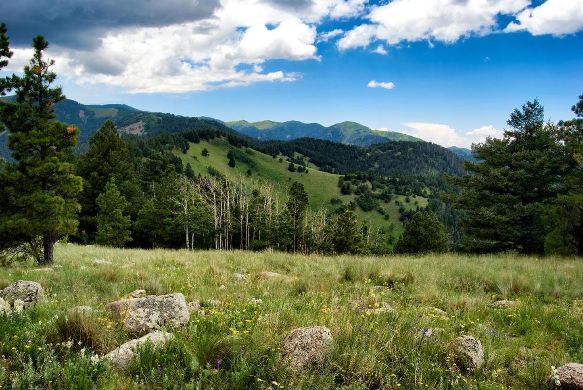 Cozy Cabin, 2 Bedrooms, Fireplace, Midtown, Sleeps 5 Ruidoso Eksteriør billede